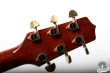 Takamine TDP-500-SP, Japan 2004