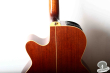 Takamine TDP-500-SP, Japan 2004