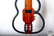 Aria Pro Sinsonido AS-101-N