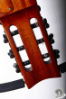 Aria Pro Sinsonido AS-101-N