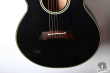 Takamine NPT-110, Japan '92