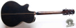 Takamine NPT-110, Japan '92