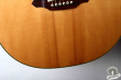 Takamine LTD 2004, Japan