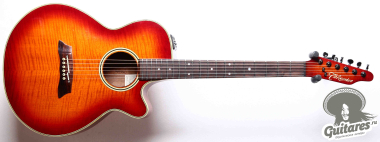 Takamine PT-106 CSB, Japan '89