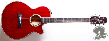 Takamine NPT-110, Japan '92