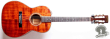 Takamine PTN-006, Japan 198x