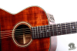 Takamine PTN-006, Japan 198x