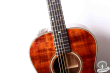 Takamine PTN-006, Japan 198x