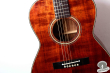 Takamine PTN-006, Japan 198x
