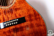 Takamine PTN-006, Japan 198x