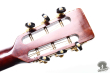 Takamine PTN-006, Japan 198x