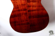 Takamine PTN-006, Japan 198x