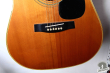 Yamaha FG-251B, Japan '78-80