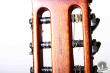 Aria Pro Sinsonido AS-101-N