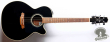 Takamine DMP-561C-BL, Japan 2013