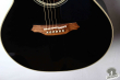Takamine DMP-561C-BL, Japan 2013