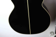 Takamine DMP-561C-BL, Japan 2013
