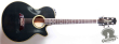 Takamine NPT-110, Japan '90