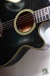 Takamine NPT-110, Japan '90