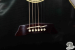 Takamine NPT-110, Japan '90