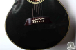 Takamine NPT-110, Japan '90