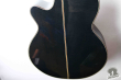 Takamine NPT-110, Japan '90