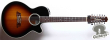 Takamine NPT-110-12, Japan 2002