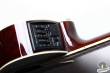 Takamine NPT-110-12, Japan 2002