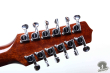 Takamine NPT-110-12, Japan 2002