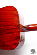 Takamine PT-006, Japan '81