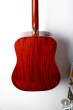 Takamine PT-006, Japan '81