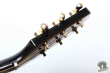 Takamine PT-118-ST, Japan '83
