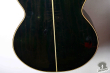 Takamine PT-118-ST, Japan '83