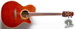 Takamine PT-508, Japan '98