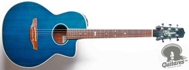 Takamine PTU-608, Japan 2001