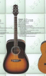 Takamine DSP-215, Japan '98 Takamine DSP-215, Japan '98
