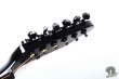 Takamine PT-106-6, Japan '92