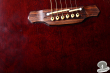 Takamine PT-507, Japan '95
