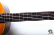 Takamine №30, Japan '83
