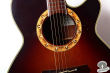 Takamine NPT-510, Japan '97