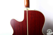 Takamine NPT-510, Japan '97