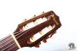 Takamine NPT-110N, Japan '98