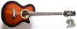 Takamine PT-106, Japan '89