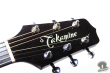 Takamine PT-106, Japan '89
