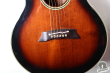 Takamine PT-106, Japan '89