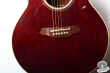 Takamine PTU-508 WR, Japan 2006