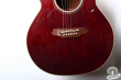 Takamine PTU-508 WR, Japan 2006