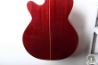 Takamine PTU-508 WR, Japan 2006