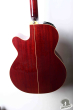 Takamine PTU-508 WR, Japan 2006