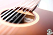 Takamine PTU-608N AS, Japan 2008